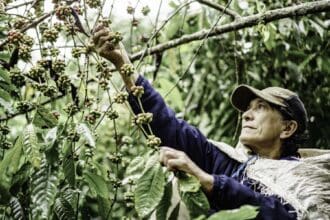 Nespresso celebra a las mujeres en el café