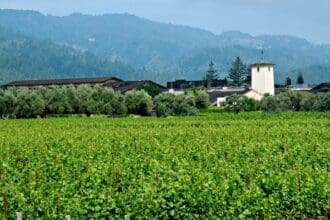 Maestro, ensamble con que Robert Mondavi festeja sus 50 años