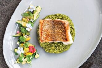 Pesca en verde