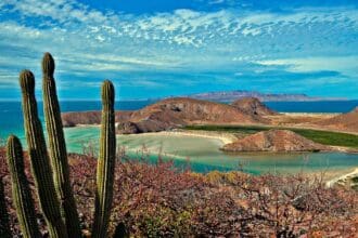 ¿Cómo será la recuperación del turismo en los principales destinos de México?