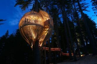 Impresionantes casas del árbol en el mundo