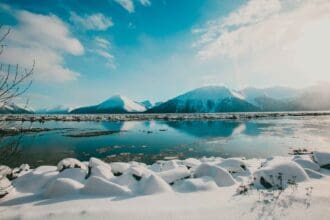 ¿Por qué está en peligro el Refugio Nacional de Vida Silvestre del Ártico en Alaska?