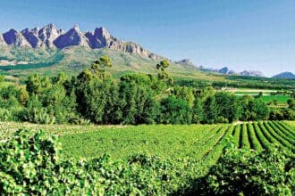 5 regiones de vino poco conocidas que debes descubrir