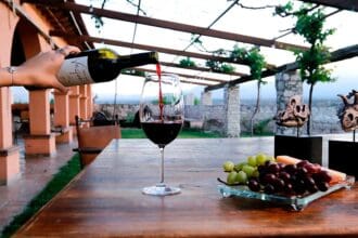 Ruta de Vinos y Dinos: ¡a brindar con el T. Rex en Coahuila!