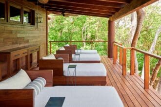 Spa en El Bosque: relajación en las copas de los árboles