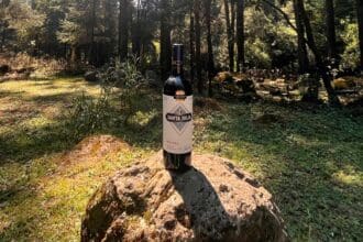 Wine for hiking: cata de vino entre la naturaleza con Bodega Santa Julia 