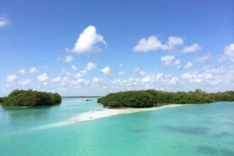 Paraísos naturales de México que son Patrimonio de la Humanidad