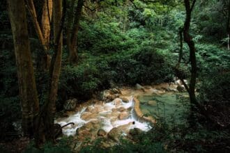 Sierra Gorda queretana: viaja al corazón verde de México
