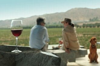 Tablas Taller Agrícola: volver al origen en el Valle de Guadalupe