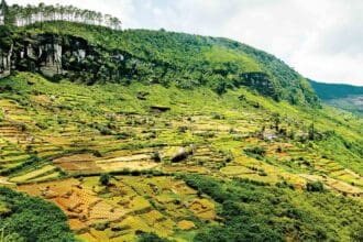 ¿Qué visitar en Trincomalee, Sri Lanka?