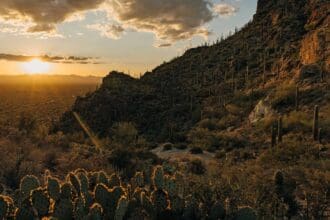 Tucson: la joya del desierto que debes conocer (y saborear)