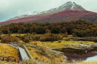 Viaja a Ushuaia, la «ciudad del fin del mundo», aquí te decimos las razones
