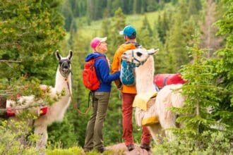 Actividades imperdibles en Vail durante primavera y verano