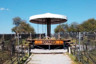 Viñedos Donato en GastroFest: experiencia sensorial
