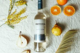 4 vinos frescos para maridar comida mexicana