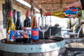 Vinos y licores amargos: inclúyelos en tu barra