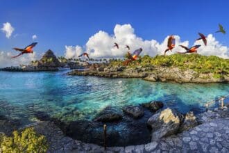 Novedades tropicales con Grupo Xcaret