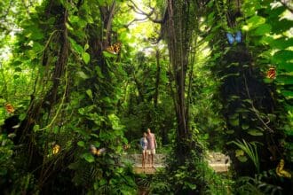 Xcaret, un parque en Riviera Maya con lo mejor de México