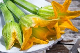 5 alimentos mexicanos que debes incluir en tu dieta