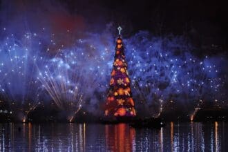 Los 5 árboles de Navidad más impresionantes