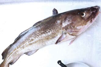Bacalao, delicia atemporal