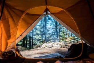 4 bosques cerca de la CDMX para armar una escapada
