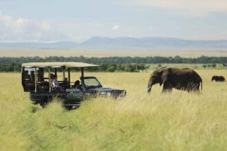 Tips de fotografía para ir de safari