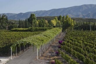 Casa Madero, primer Vino de Pago de América
