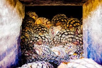 Tequila Herradura: agave, tierra y tradición