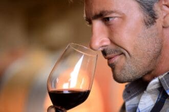 Guía práctica para catar un vino