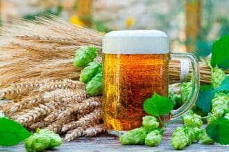 Cerveza checa:  la joya líquida de la República Checa  