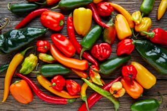 Los chiles más picosos de México