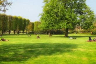 Conoce cuáles son las 11 ciudades más felices del mundo