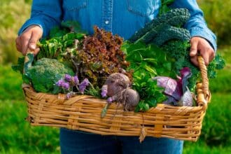 5 consejos para tener una cocina sustentable