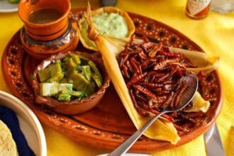 Comidas exóticas mexicanas