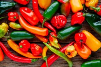 El chile: símbolo de identidad mexicana