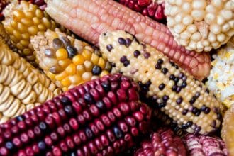 Un paso más allá para la gastronomía mexicana