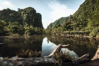 Malasia, riquezas ocultas