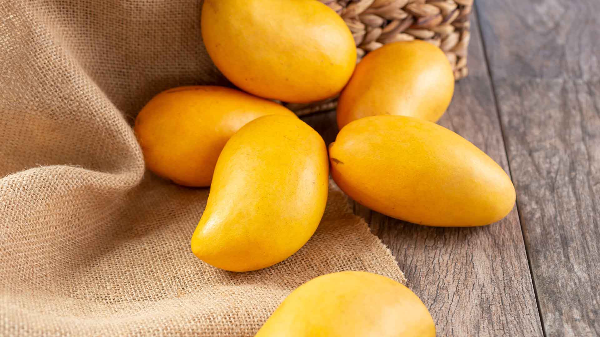 Mango Ataúlfo conoce la historia de esta fruta con Denominación de Origen
