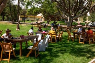 5 básicos para disfrutar de Maridando México