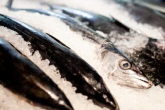 Pardo La Carne y La Pesca: el showroom de la proteína