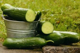 Pepino: ¿fruto u hortaliza?