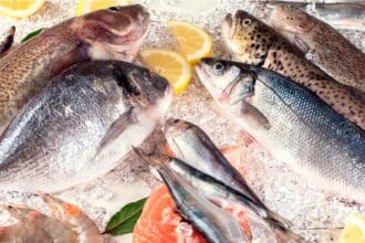 3 pescados sustentables para comer en cuaresma