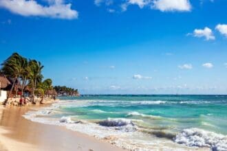 Dónde comer en Playa del Carmen