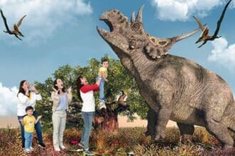 5 Museos interactivos de la CDMX