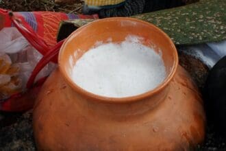 Bebidas que solo probarás en Latinoamérica