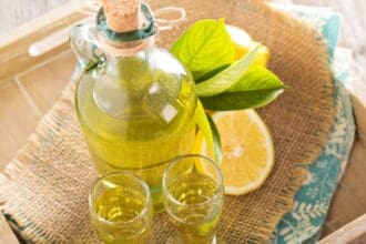 Bebidas tradicionales del mundo