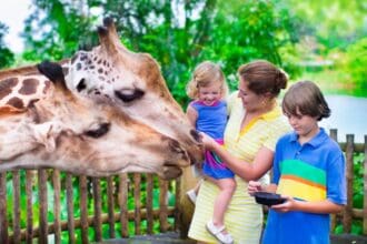 Top 5 de zoológicos de México