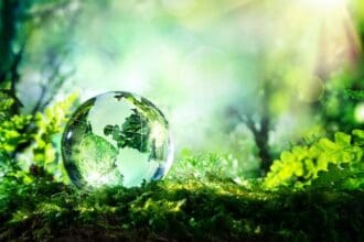 Conviértete en todo un maestro del medio ambiente