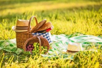 Picnic y peli, la combinación perfecta
